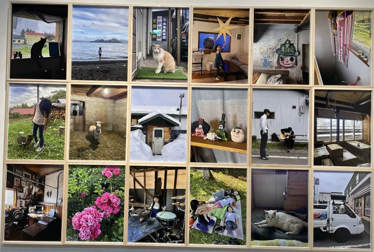 奈良美智攝影作品