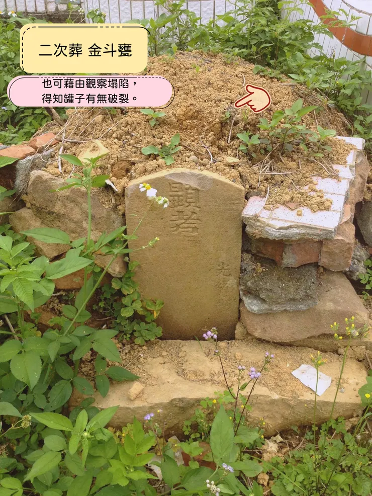 觀察地表狀況,可得知金斗甕蓋子有無破裂