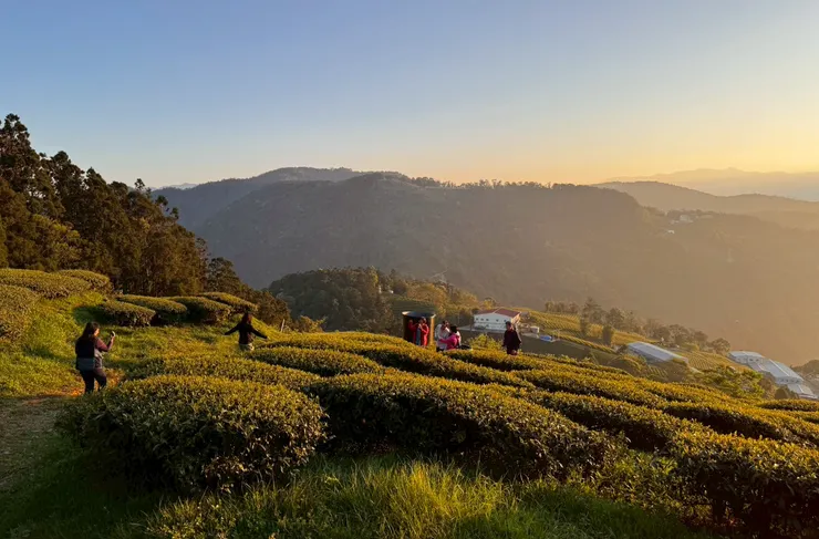 武界被譽為「雲的故鄉」,布農語:水源地,它是泰雅與布農兩族的「武力分界線」