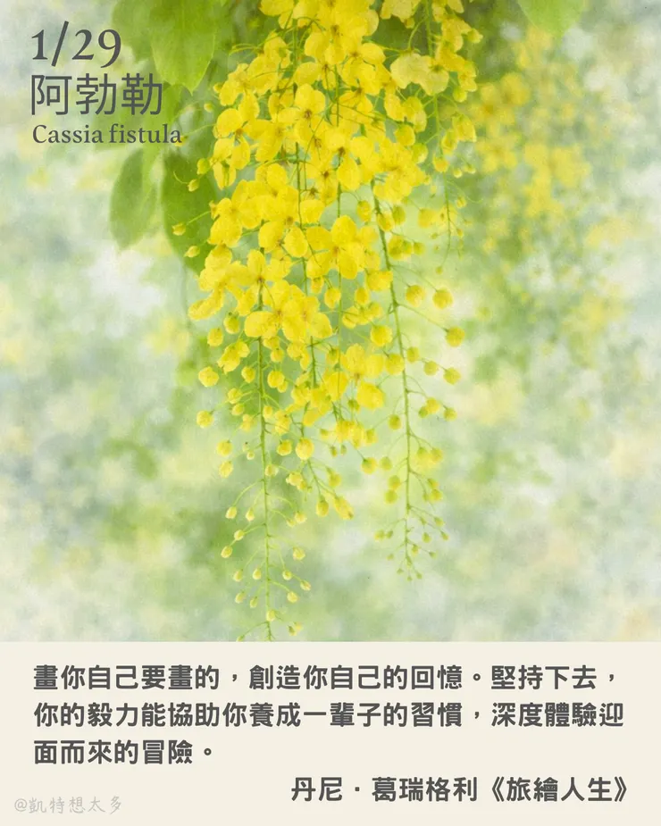 《一日一花・一句》｜1 月 29 日｜阿勃勒×丹尼．葛瑞格利《旅繪人生》