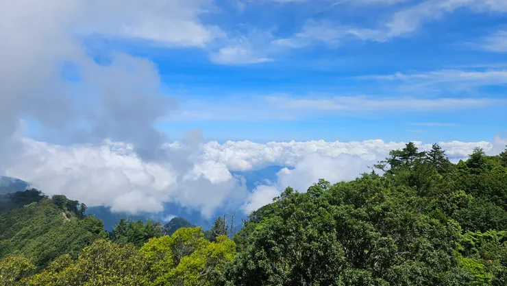登上瞭望台,迎接我們的是滿滿的雲海!不過好可惜,左邊的一大片濃霧,正好把鳶嘴山給擋住了!