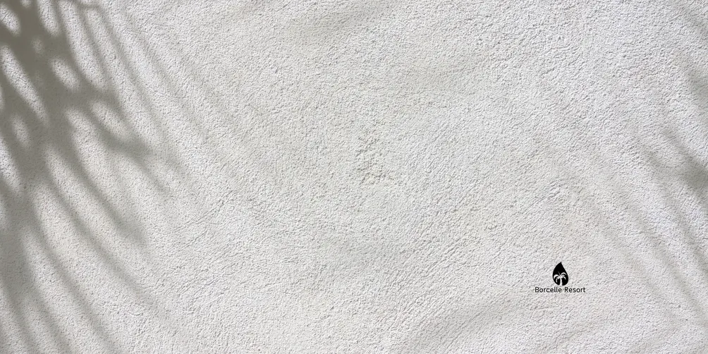 結構型引導師-E's