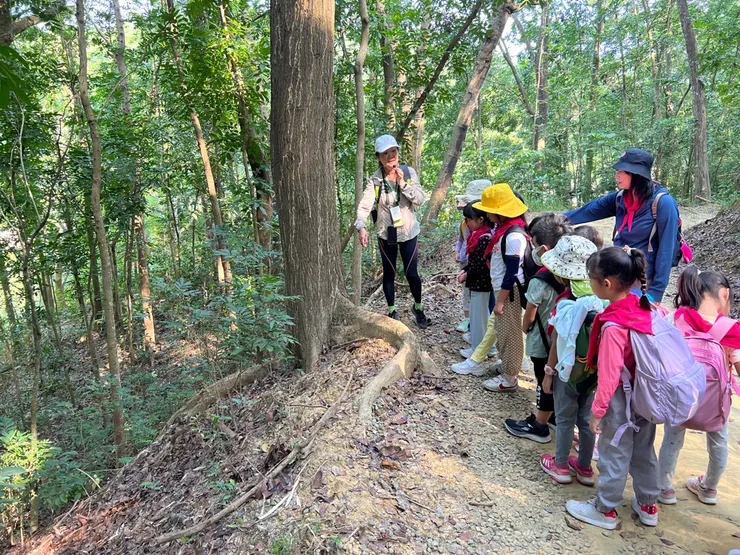 讓孩子在台南安南區找到最適合的實驗教育——上華蒙特梭利打造自學成長環境