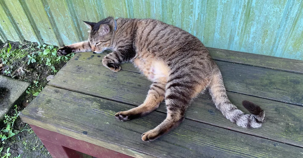 菜鳥銀行員日記