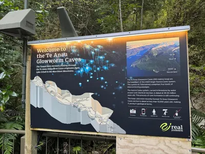 《紐西蘭》Oliver Tree Cafe，總算吃到炸魚薯條