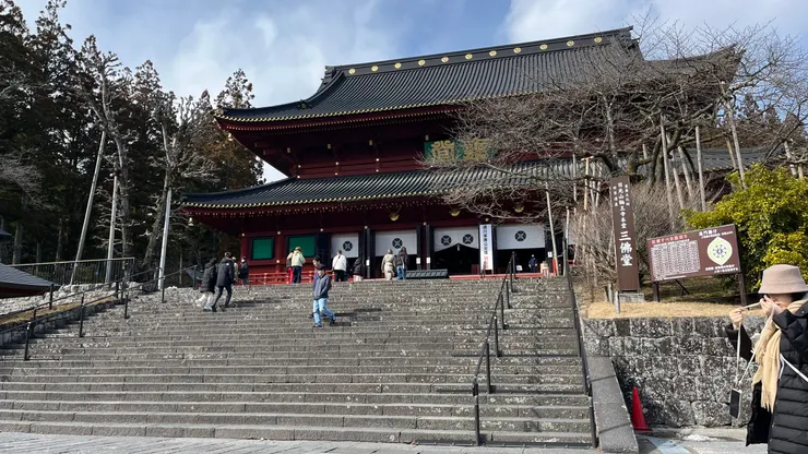 高8公尺的佛像，真的讓人目不轉睛。