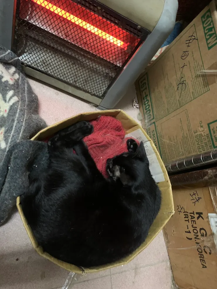 手術結束回到家許久，才終於安心睡覺