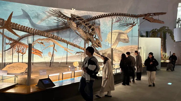 古海龜就算了...還有那~~麼長的魚龍.... (魚龍好像沒有肩頰骨??所以他的手其實可以360°轉???)