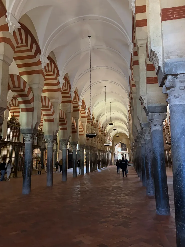 拱門森林的壯闊。