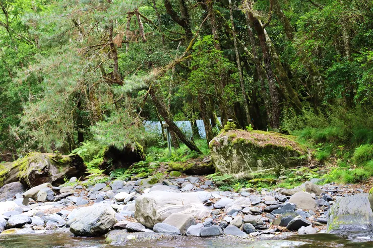 ▲10:00抵達香茹寮營地