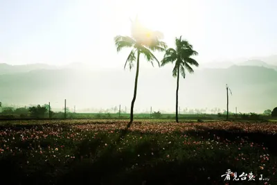 充電迎接Blue Monday