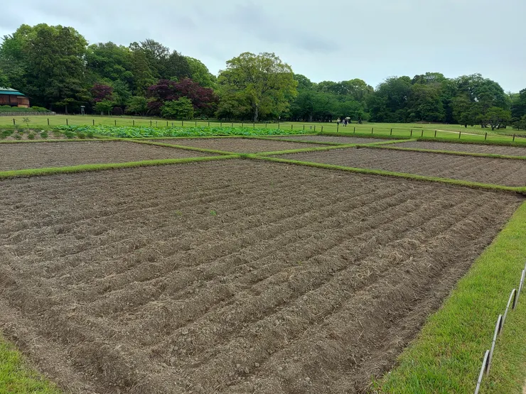 以前只在譠本上聽說過的井田