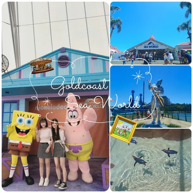 【澳洲遊】黃金海岸Sea World海洋世界一日遊｜門票、表