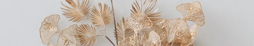 可可鳥窩的沙龍