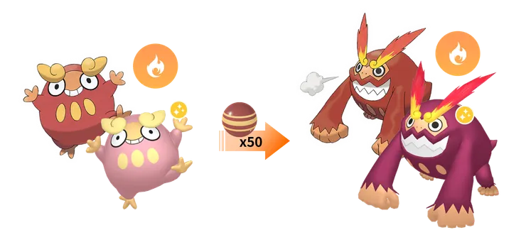 火紅不倒翁進化鏈