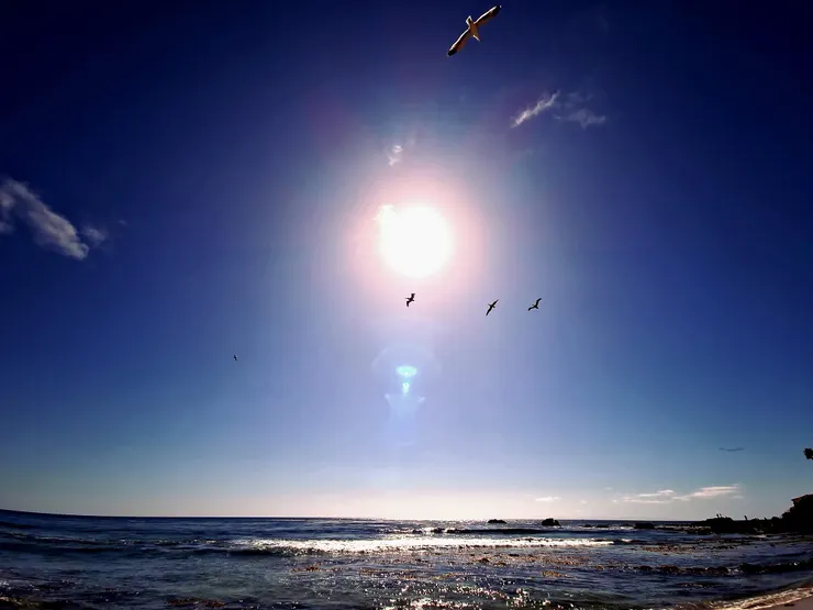 (攝影：翔子，於Rockpile at Laguna Beach)