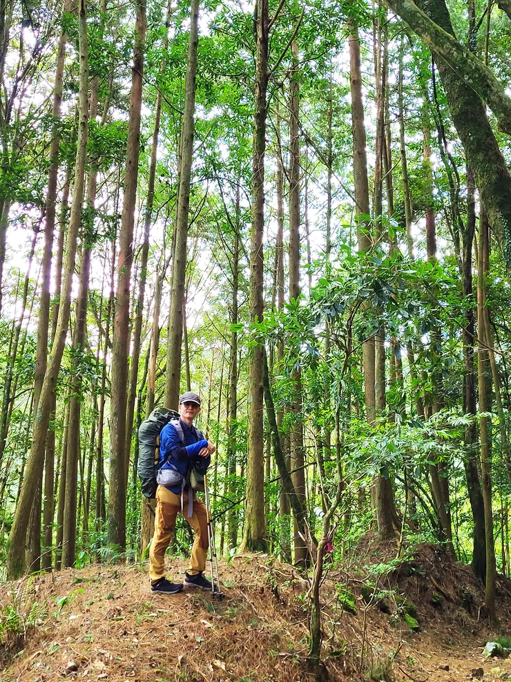 此處的林相與特富野很像