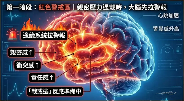 【悅安圖解】紅色警戒:外表平靜,內在卻被「劫持」 你以為他只是心情不好,其實他的大腦正在經歷神經科學所謂的 「杏仁核劫持 (Amygdala Hijack)」。 對他來說,「親密感」被誤判為生存威脅。雖然他沒說話,但身體的交感神經已經全面接管,正處於準備「戰或逃」的極限狀態。