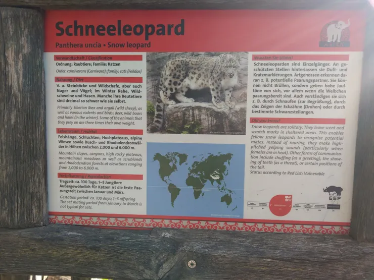 生活在喜馬拉雅山脈的雪豹（海拔約 3,000–5,500 公尺）