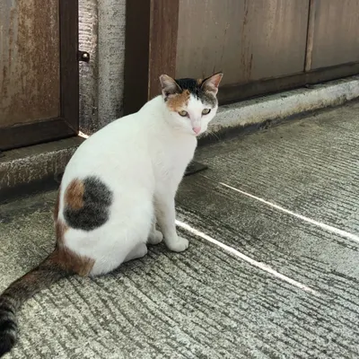 KY篇幅有限的碎碎念的沙龍