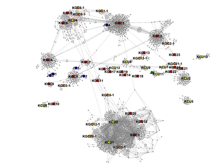 加入節點標籤及顏色的網絡