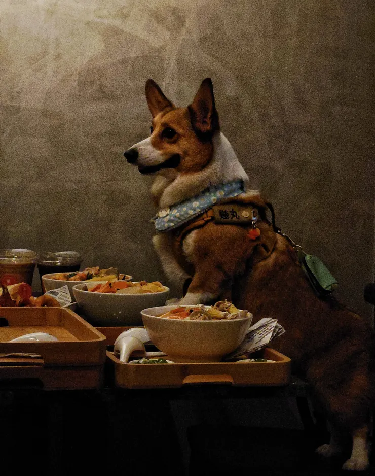 吃鍋燒麵時的隔壁桌客人