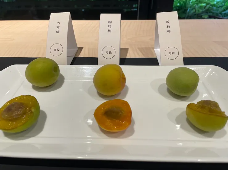 從選梅、醃梅製程到風味評鑑，徐仲透過醃梅品嘗活動，推廣台灣在地食材。