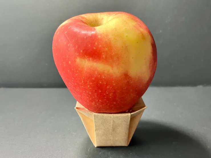 四瓣斗OPS與蘋果