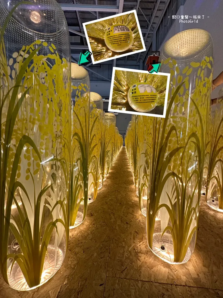 【臺灣館】孩子們非常喜歡這些稻米氣球，來回穿梭樂此不疲。