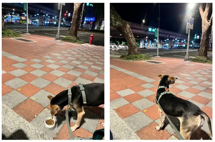 晚上到難度很高的小公園馬路邊,一樣很快吃光