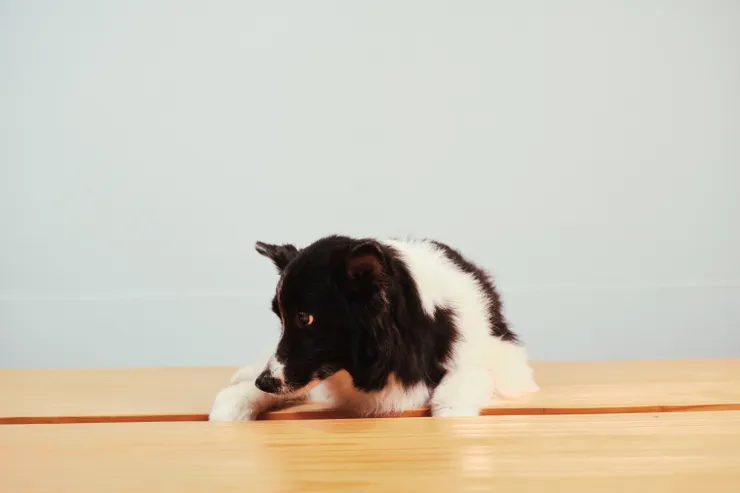 化療期間邊玩邊拍的沙龍照