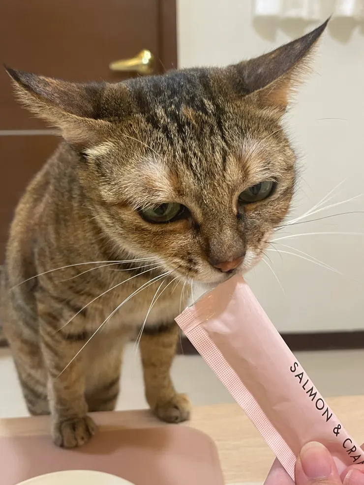 只要有做功課(刷毛、剪指甲)就有零食吃