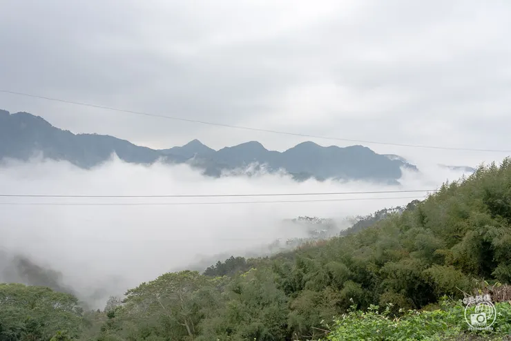 100%咖啡莊園,100咖啡莊園,100%咖啡,100%咖啡館,阿里山咖啡廳,瑞里咖啡廳,阿里山手沖咖啡,阿里山咖啡,阿里山咖啡豆,阿里山高山茶,阿里山咖啡館,阿里山,嘉義,瑞里,瑞里咖啡,瑞里咖啡館,瑞里景點,瑞里美食,阿里山美食,阿里山景點