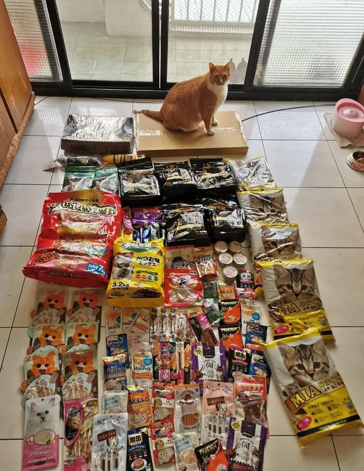 幸福的貓（蝦皮訂貨）