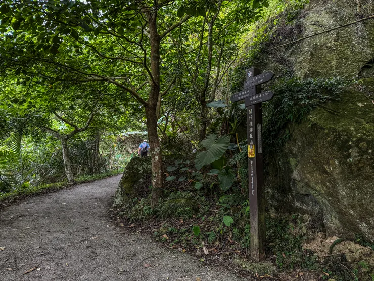 7:22 又一大凍山/雞籠山叉路
