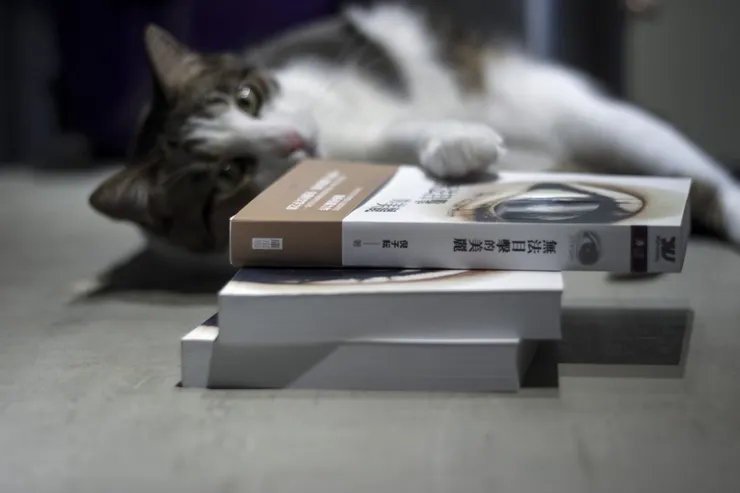 vocus|新世代的創作平台