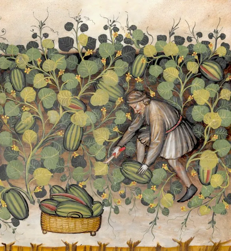 約14世紀，來源österreichische nationalbibliothek, cod. ser. n. 2644, fol. 21r