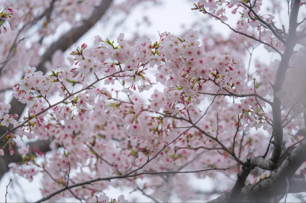 🌙 餘溫並肩者的沙龍