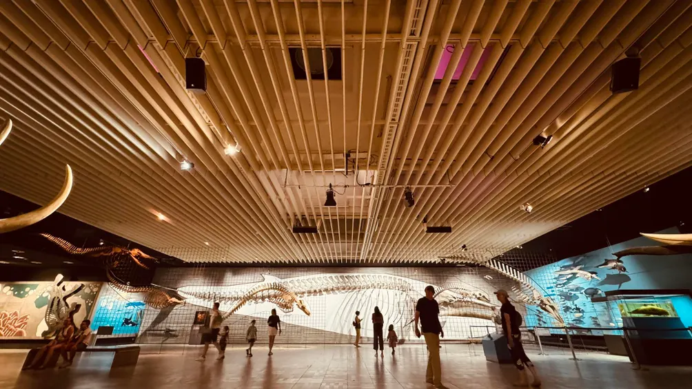 Lewis的假日觀察