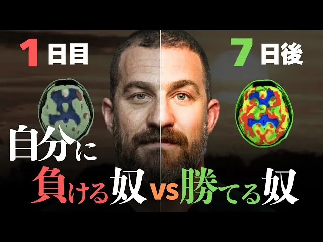7天就能重塑你的大腦意志力！｜安德魯·休伯曼-史丹佛大學神經科學教授
