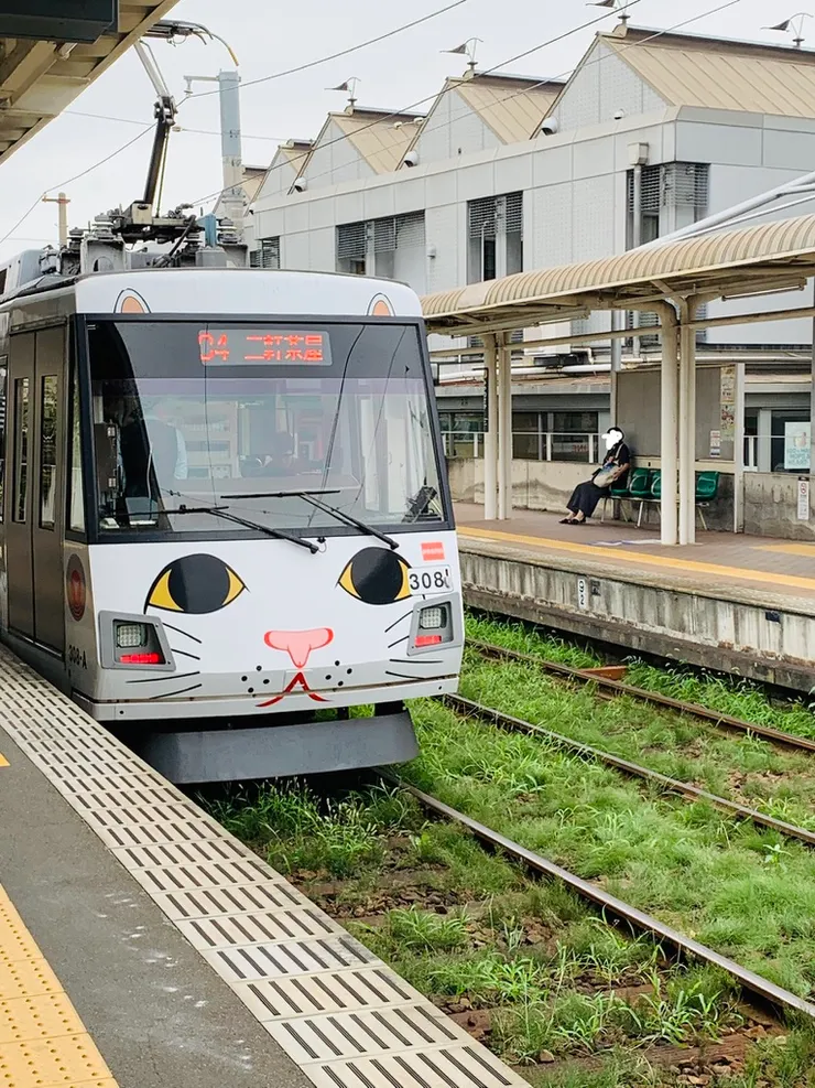 出差東京時，順路搭了招福貓電車，真的很可愛