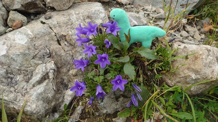 自己覺得配色不錯