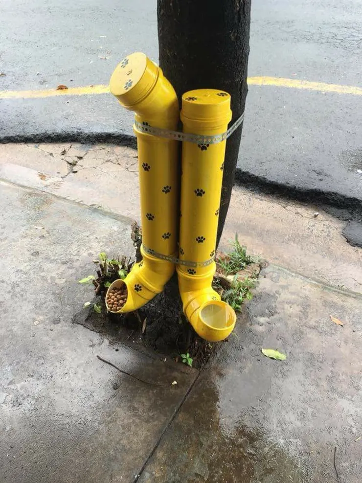 相當難用的餵食器