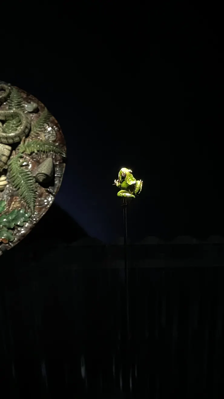 這個青蛙胸針超精細的，不知有沒有我的拇指大