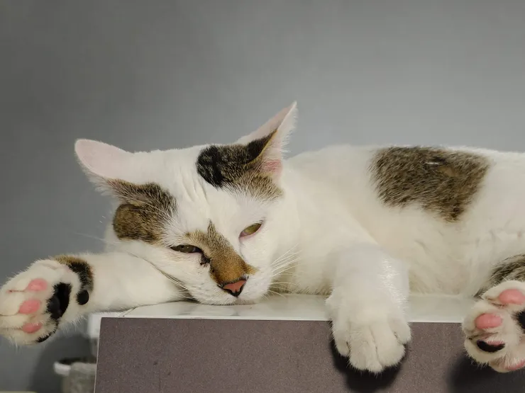 別吵我～點東西去叫店員！