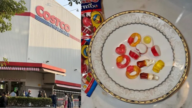 好市多開賣這款商品，被網友公認是長途開車育兒神器。（圖／翻攝自網路）