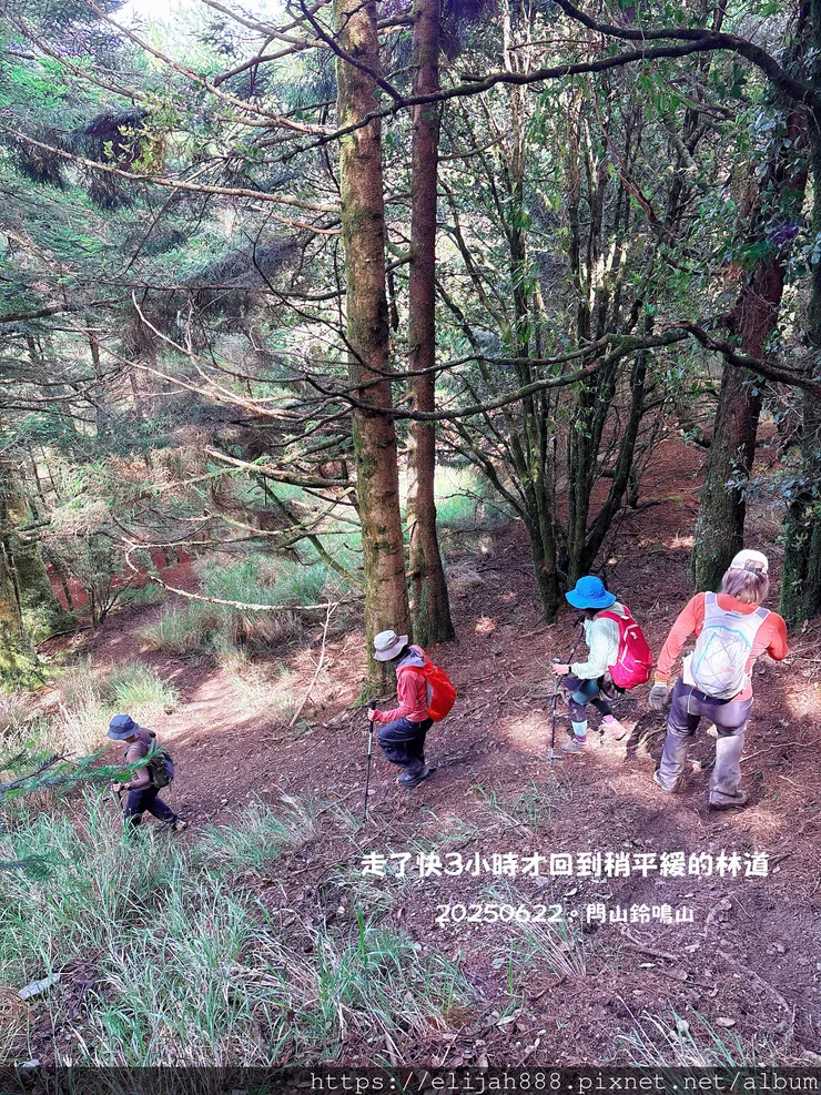 【閂山鈴鳴。兩日50公里百岳行】海拔3272公尺 鈴鳴山-