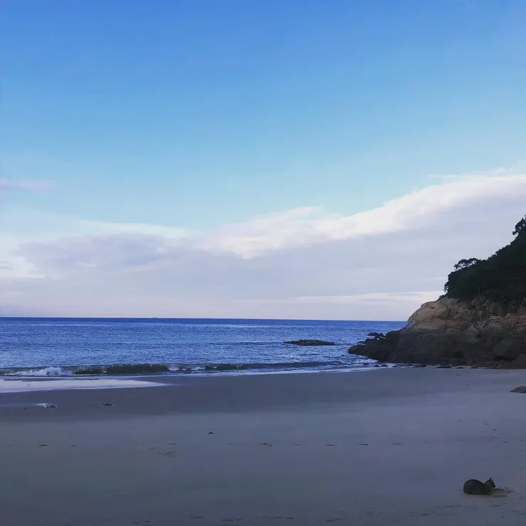 津沙聚落的津沙沙灘與貓