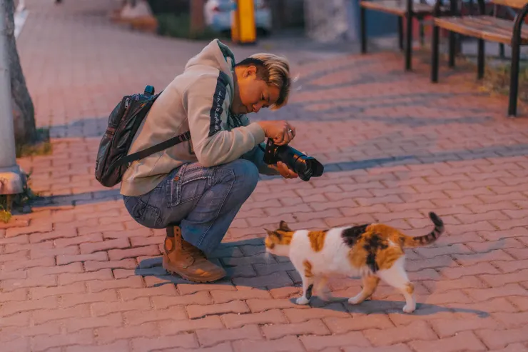 街拍遇到貓貓