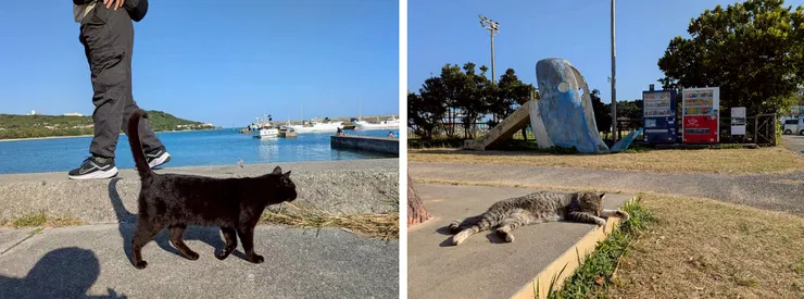 有著「貓島」美稱的奥武島